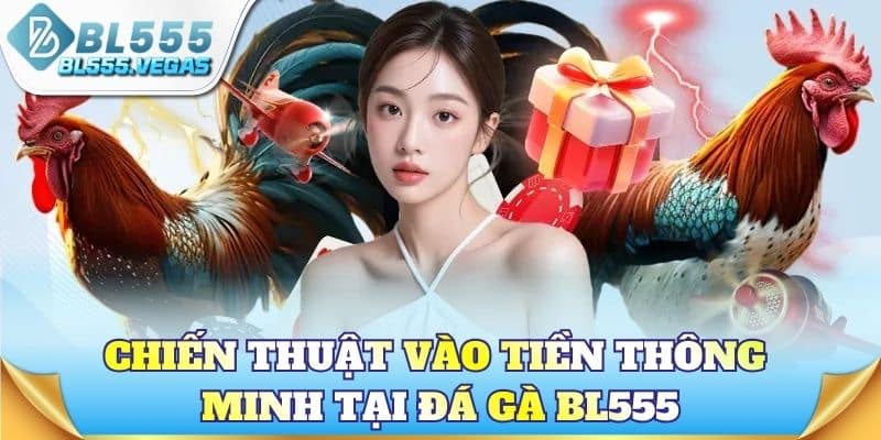 Chiến thuật vào tiền thông minh tại đá gà BL555