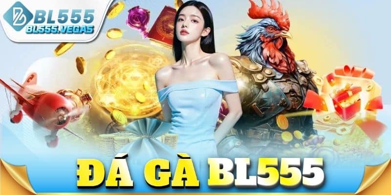 Đá gà BL555
